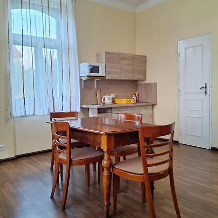 Nad Hradem Apartment *