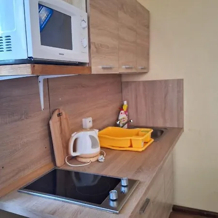 Nad Hradem Apartment Tynec nad Sazavou